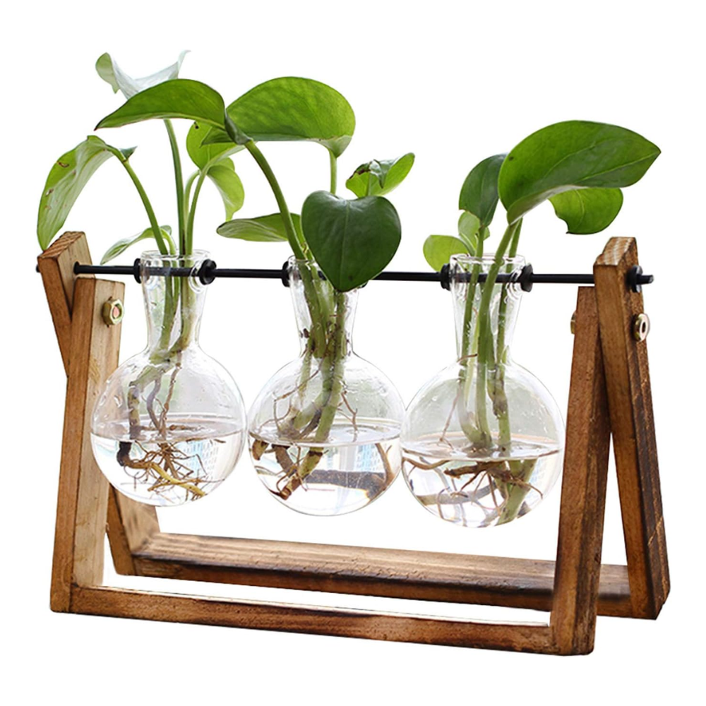 Plant Terrarium with Wooden Stand – 3 Bulb Glass Vase Hydroponic Planter