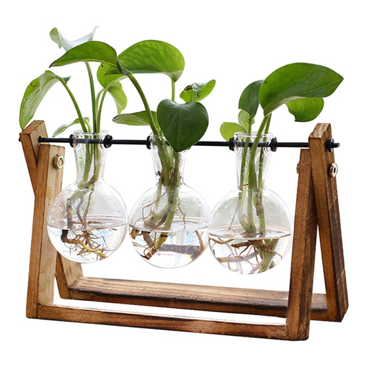 Plant Terrarium with Wooden Stand – 3 Bulb Glass Vase Hydroponic Planter